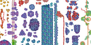 Molecular Machinery