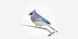 BirdNet