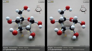 alfa-D-glucopiranosa (ecuatorial) alfa-D-glucopiranosa (ecuatorial)