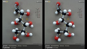 D-glucosa (forma lineal) D-glucosa (forma lineal)